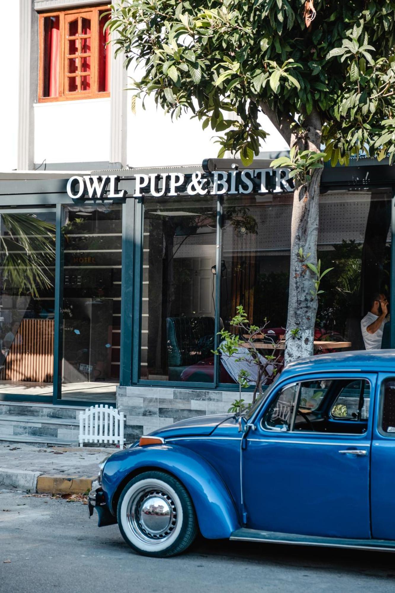 Orange Owl Hotel Antalya Buitenkant foto